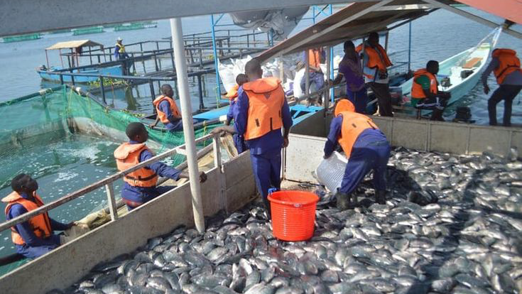 “Youth Aquaculture Training: First Cohort Graduates”